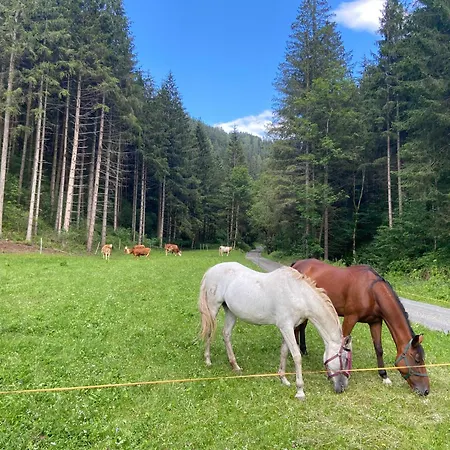 Grobmbauerhuette * Sankt Stefan ob Leoben
