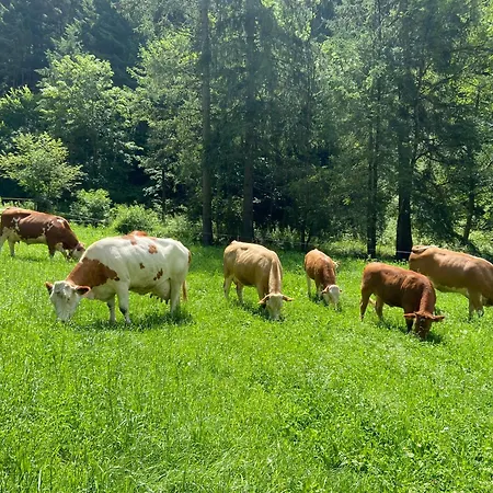 Grobmbauerhuette بيت للعطل *