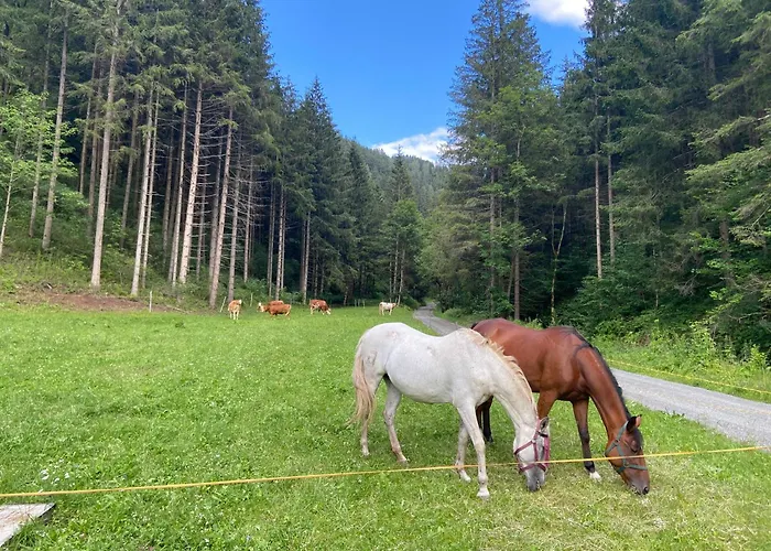 Grobmbauerhuette * Sankt Stefan ob Leoben