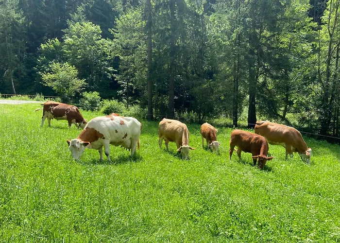 Grobmbauerhuette Vakantiehuis *